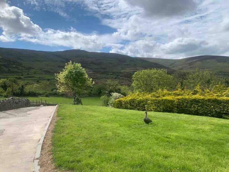 Вілла Mountain House Omeath Near Carlingford O Meith Екстер'єр фото